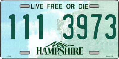 NH license plate 1113973