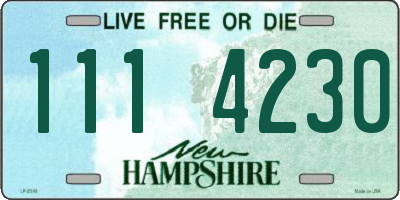 NH license plate 1114230