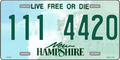 NH license plate 1114420