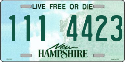 NH license plate 1114423