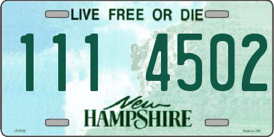 NH license plate 1114502