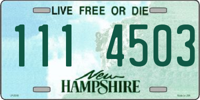 NH license plate 1114503