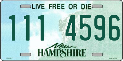 NH license plate 1114596