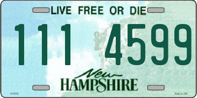 NH license plate 1114599