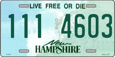 NH license plate 1114603