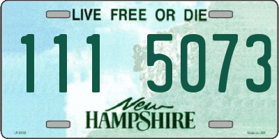 NH license plate 1115073