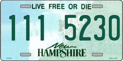 NH license plate 1115230