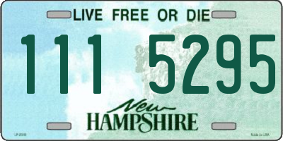 NH license plate 1115295