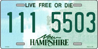 NH license plate 1115503