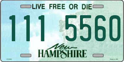 NH license plate 1115560