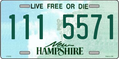 NH license plate 1115571