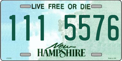 NH license plate 1115576