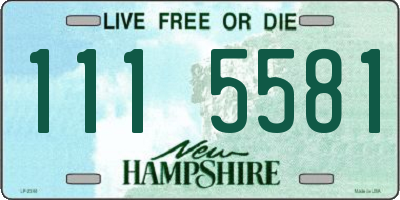 NH license plate 1115581