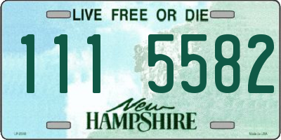NH license plate 1115582
