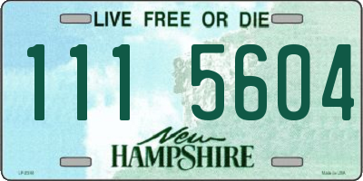NH license plate 1115604