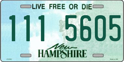 NH license plate 1115605