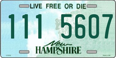 NH license plate 1115607