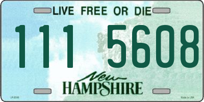 NH license plate 1115608