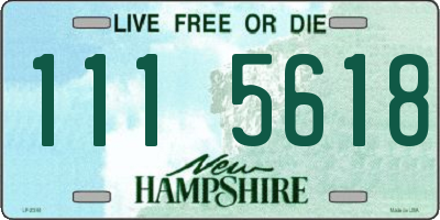 NH license plate 1115618