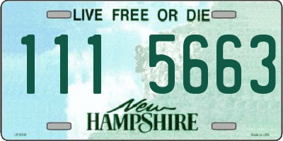 NH license plate 1115663