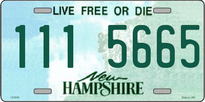 NH license plate 1115665