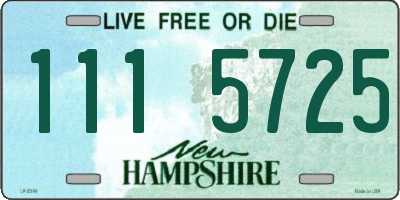 NH license plate 1115725