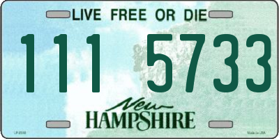 NH license plate 1115733