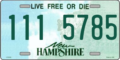 NH license plate 1115785
