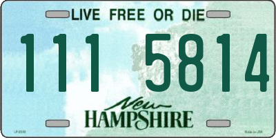 NH license plate 1115814