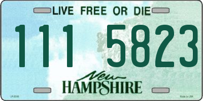 NH license plate 1115823