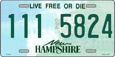NH license plate 1115824