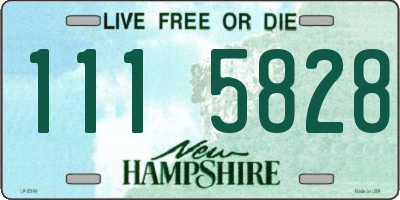 NH license plate 1115828