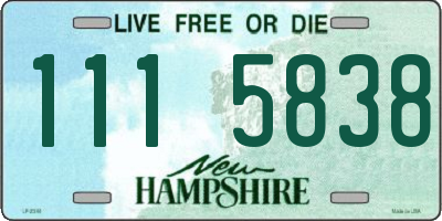 NH license plate 1115838