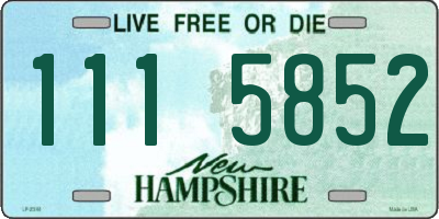 NH license plate 1115852