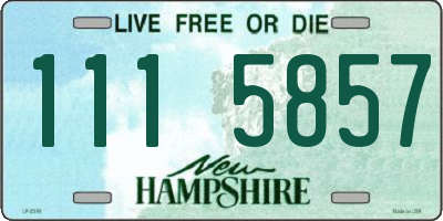 NH license plate 1115857