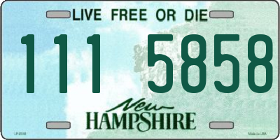 NH license plate 1115858