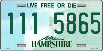 NH license plate 1115865