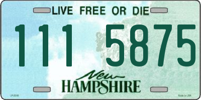 NH license plate 1115875