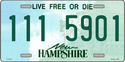NH license plate 1115901