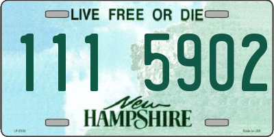 NH license plate 1115902