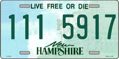 NH license plate 1115917