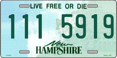 NH license plate 1115919