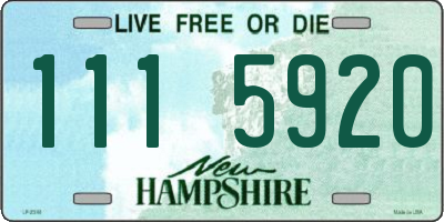 NH license plate 1115920