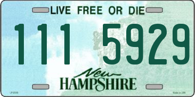 NH license plate 1115929
