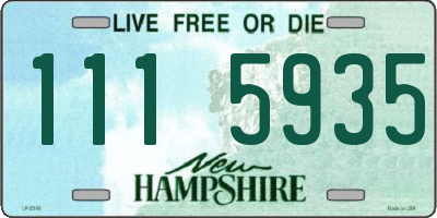 NH license plate 1115935