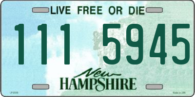 NH license plate 1115945