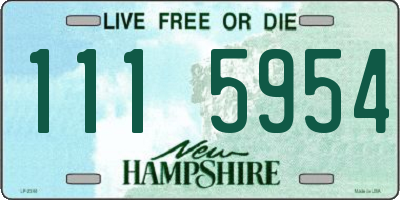 NH license plate 1115954