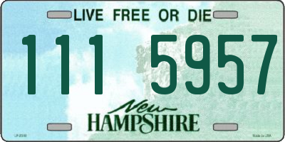 NH license plate 1115957