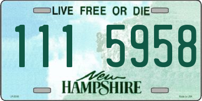 NH license plate 1115958