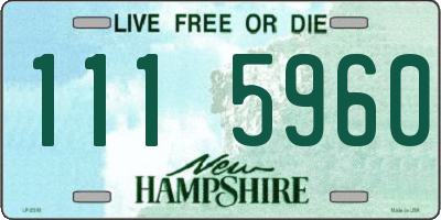 NH license plate 1115960